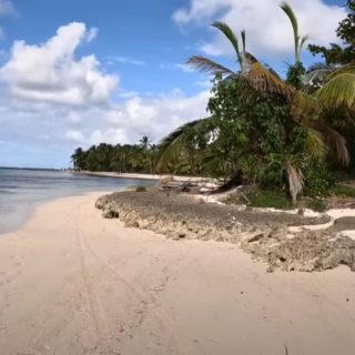 Punta Cana Deserted Beach Walk Bavaro Beach