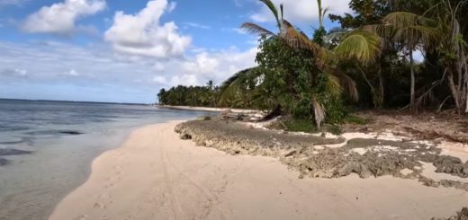 Punta Cana Deserted Beach Walk Bavaro Beach