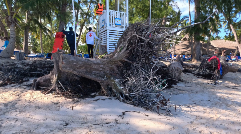 Punta Cana Beach Erosion