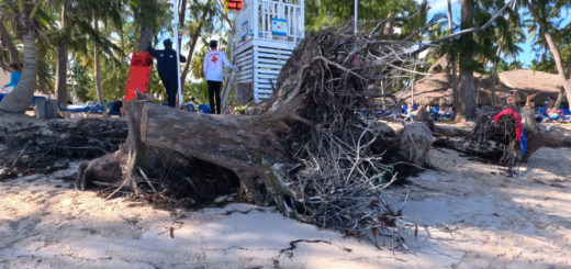 Punta Cana Beach Erosion